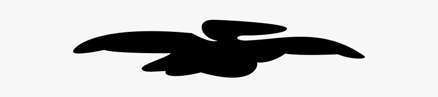 Pelican - Flight, Transparent Clipart