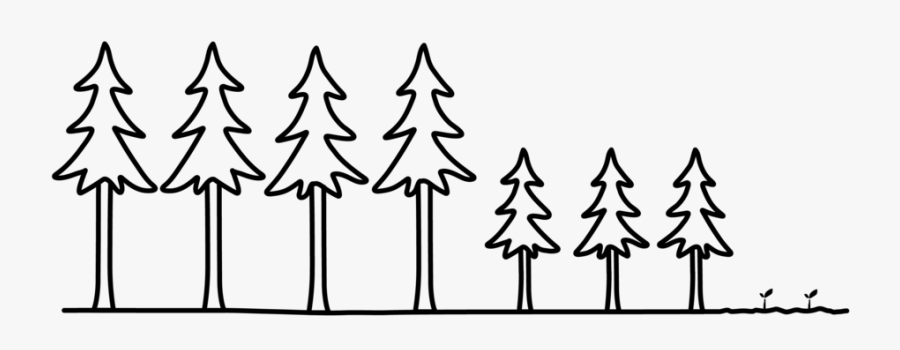 Nb Visionimages Hozstory, Transparent Clipart