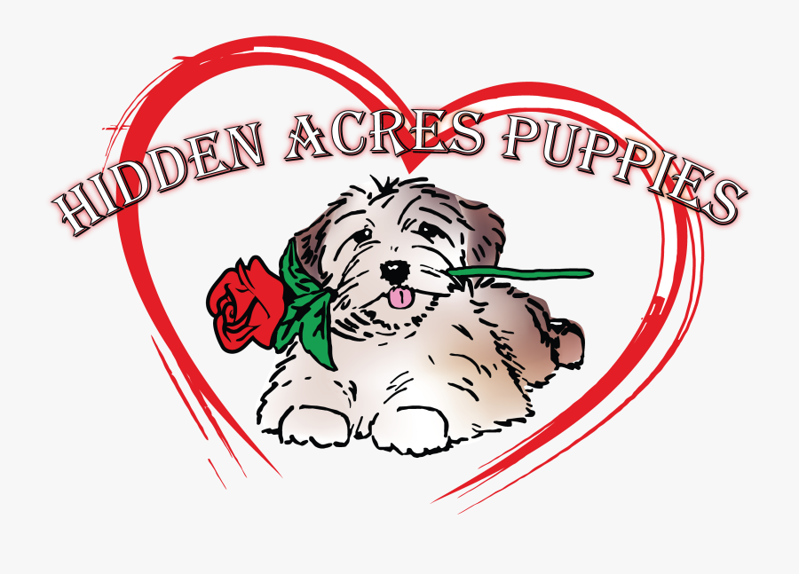 Collars - Dog Catches Something, Transparent Clipart