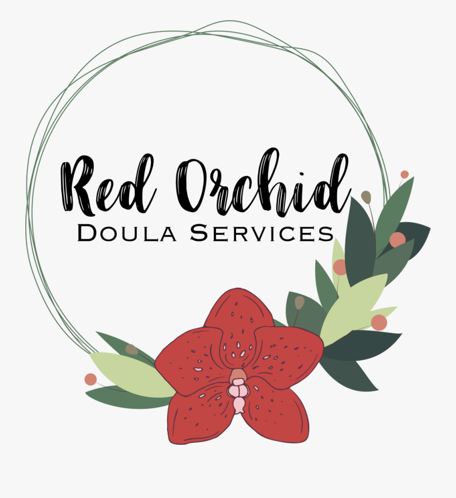 Testimonials Red Orchid Doula, Transparent Clipart