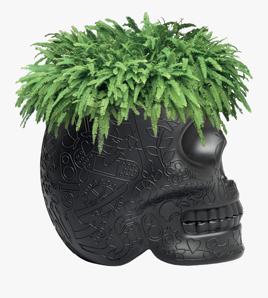 Fern Clipart Planter - Plants Transparent Background, Transparent Clipart