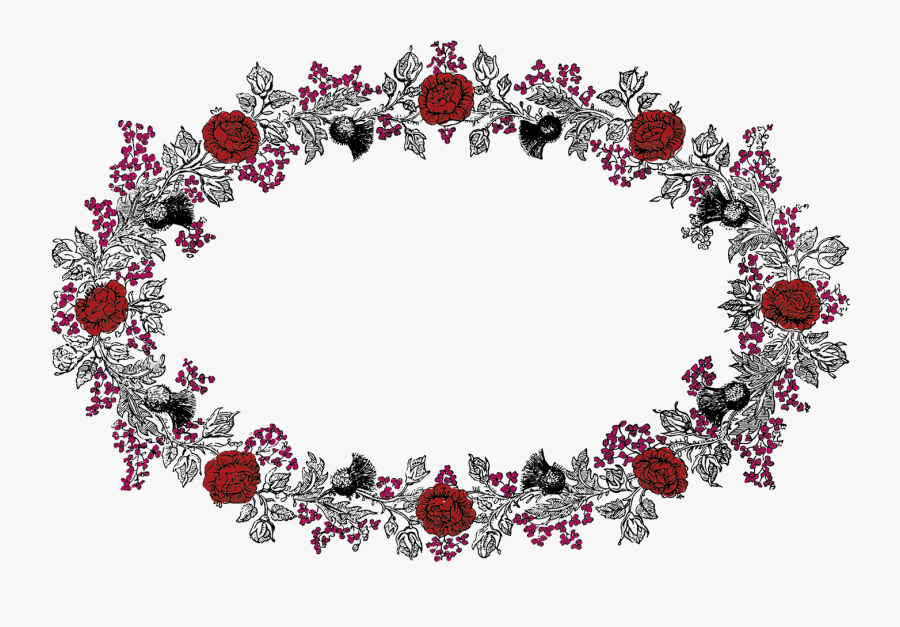 Circle, Transparent Clipart