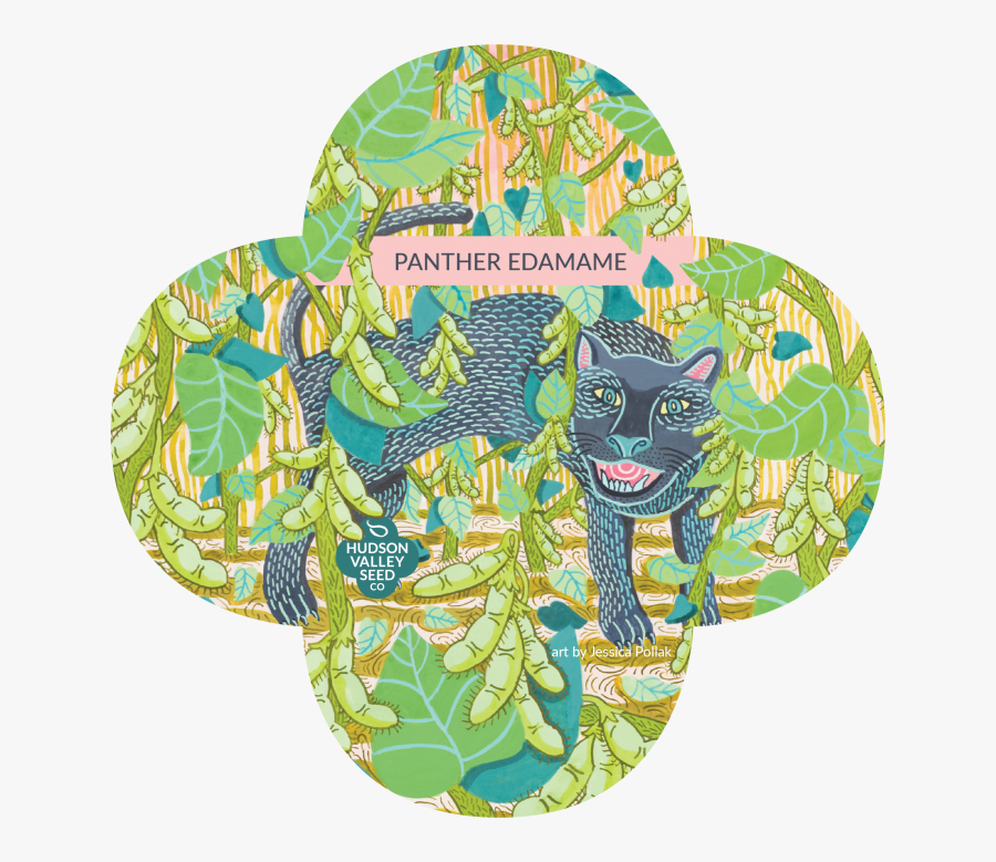 Seed, Transparent Clipart