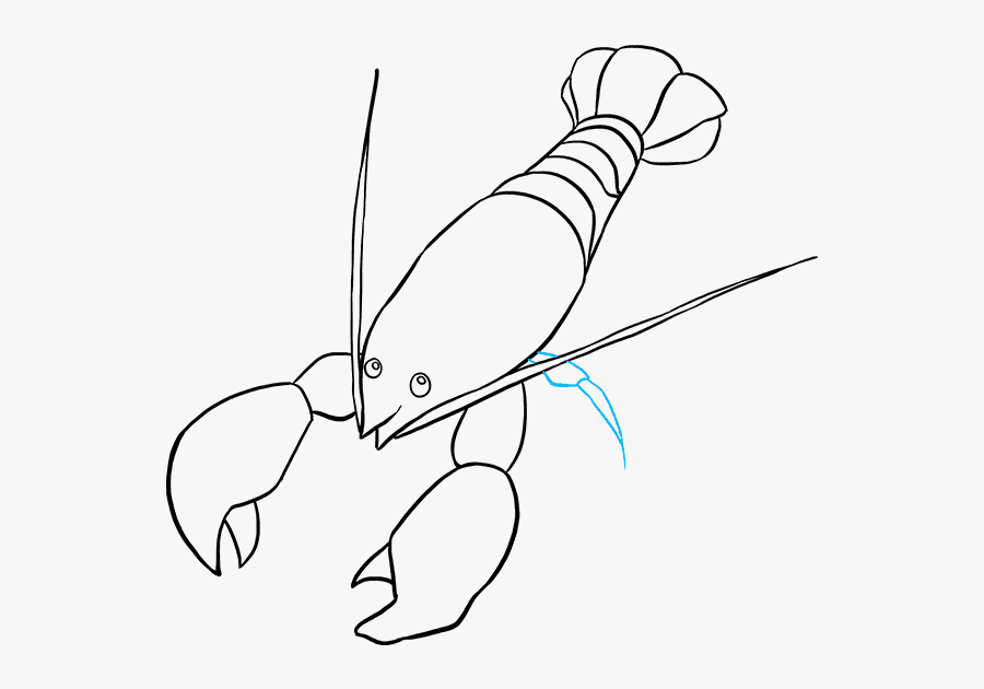 How To Draw Lobster - Lobster Draw, Transparent Clipart
