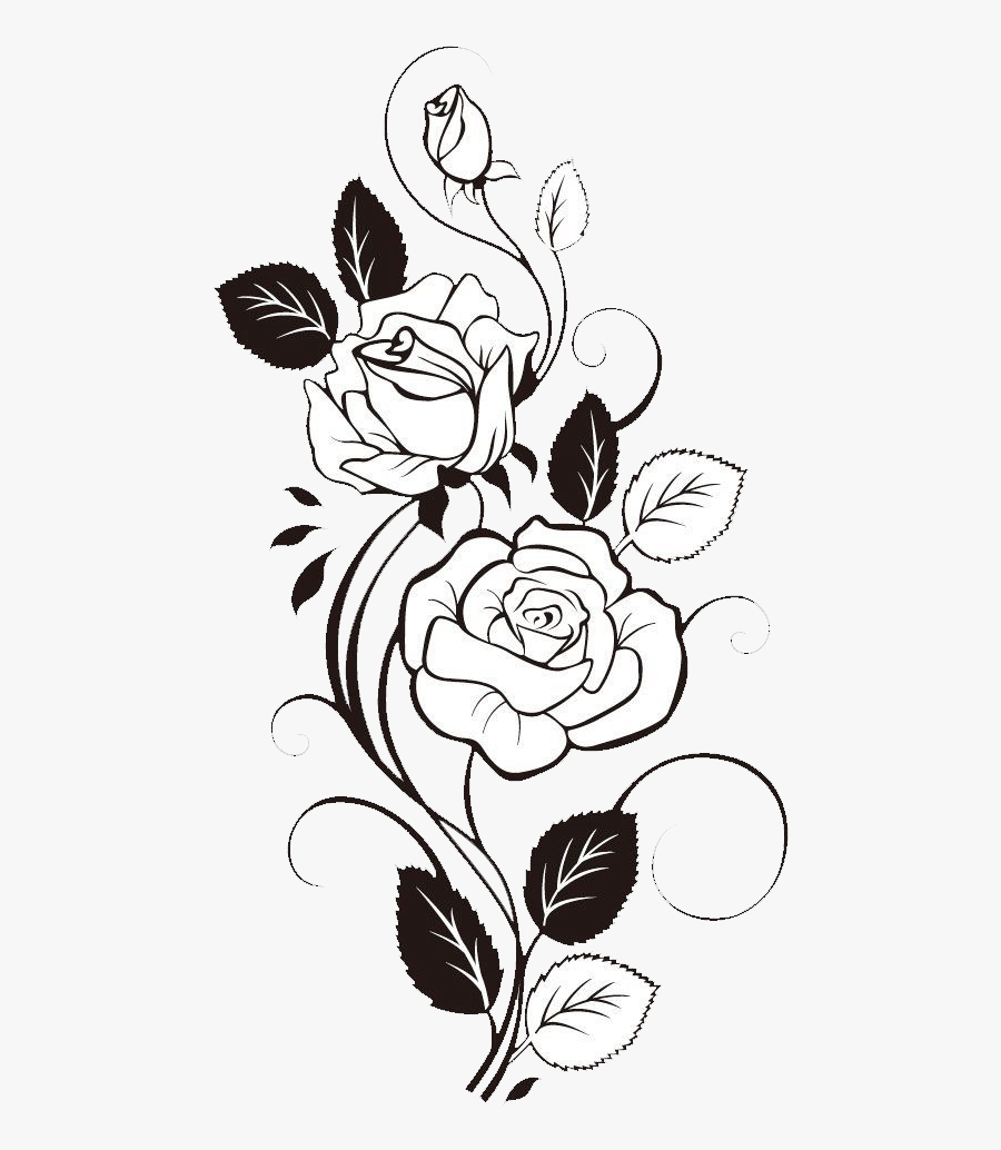 Rose Flower Design Drawing, Transparent Clipart