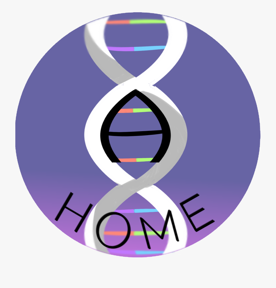 Circle, Transparent Clipart