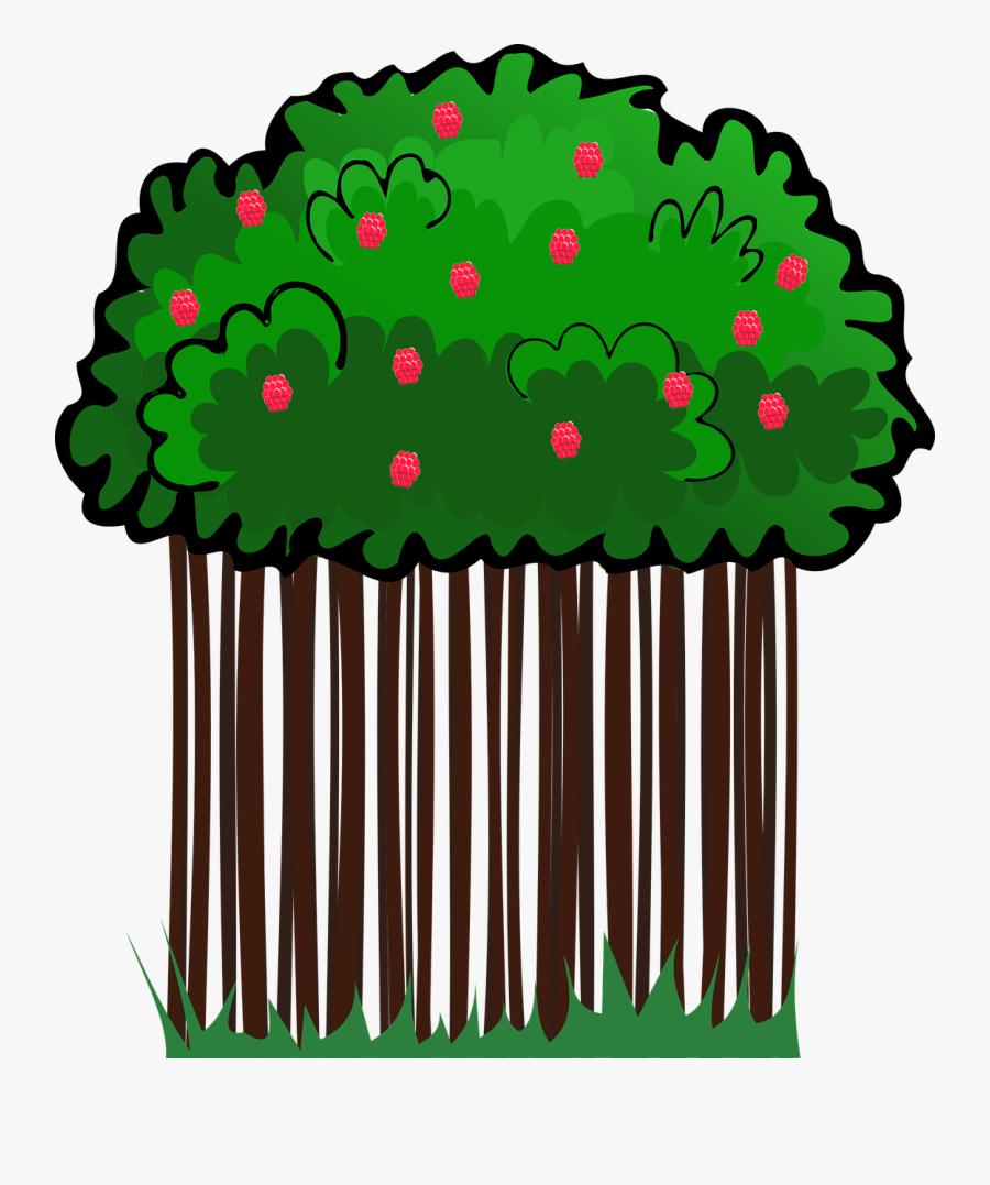 Vector Graphics,free Pictures, Free Photos, Clipart, Transparent Clipart