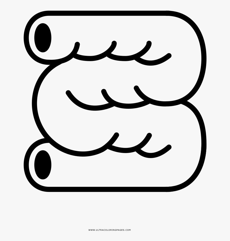 Intestine Coloring Page - Line Art, Transparent Clipart