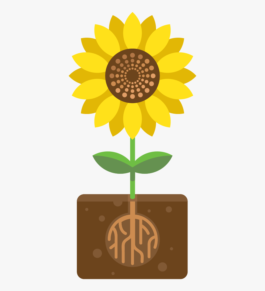 Vector Graphics, Transparent Clipart