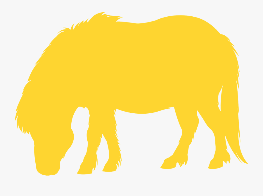 Bear, Transparent Clipart