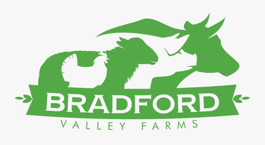Bradford Logo, Transparent Clipart