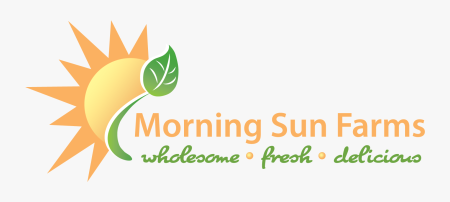 Graphic Design, Transparent Clipart