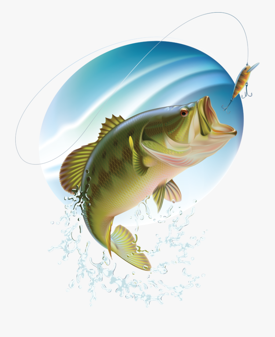 Bass Fishing Clipart Free , Png Download, Transparent Clipart