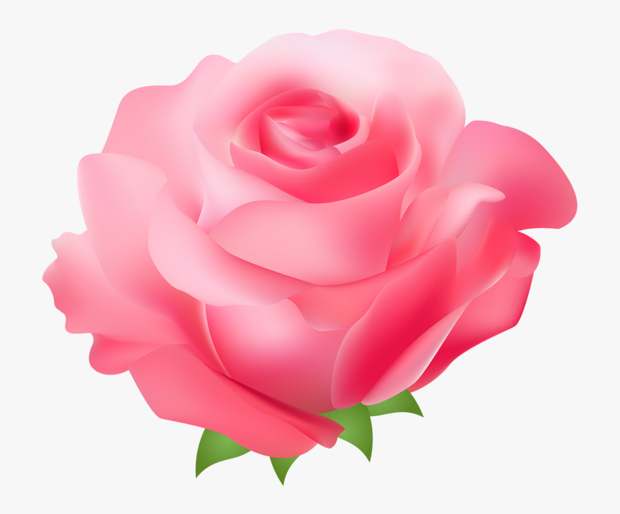 Rose Pink Free Clip Art - Imágenes Para El Día De La Mujer, Transparent Clipart