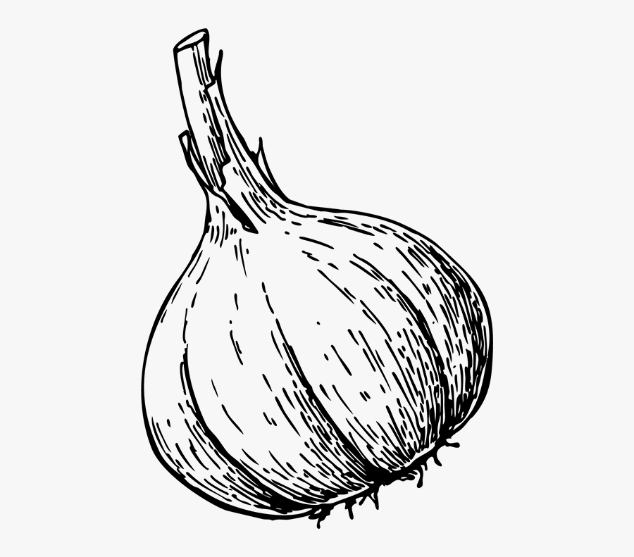 Vegetable, Transparent Clipart