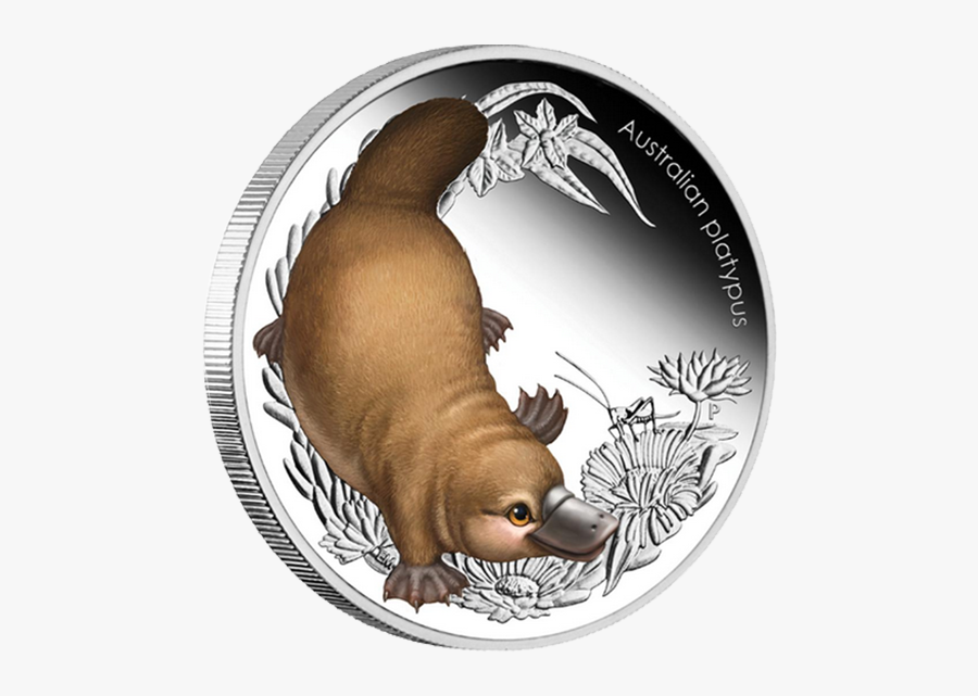 Australia 2013 50 Cents Platypus Australian Bush Babies - Bush Babies Coin, Transparent Clipart