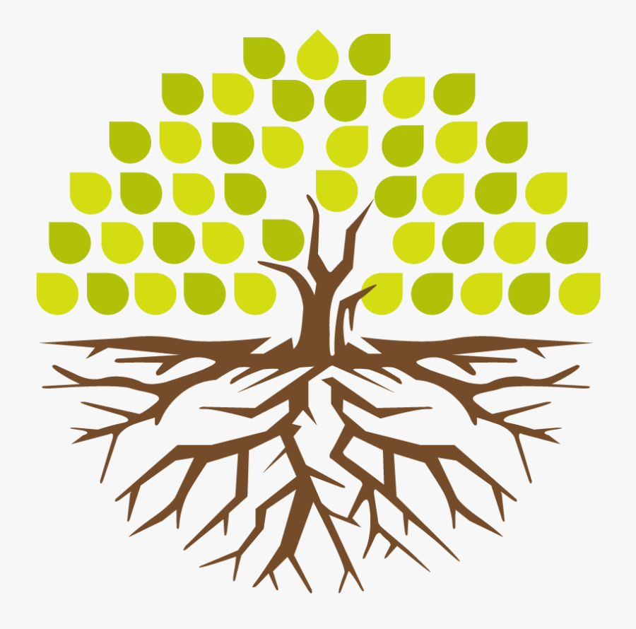 Grow360 - Cool Tree, Transparent Clipart