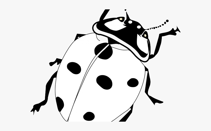 Cliparts X Carwad Net - Ladybird Black And White Clipart, Transparent Clipart