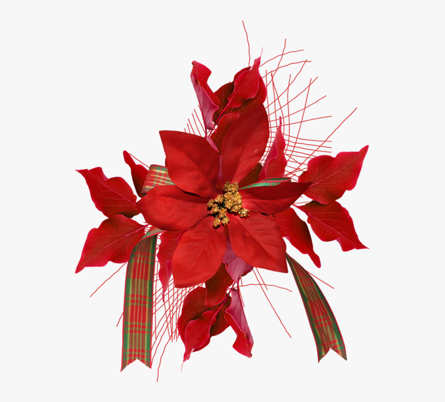Transparent Floral Clipart - Poinsettia Clipart Png, Transparent Clipart
