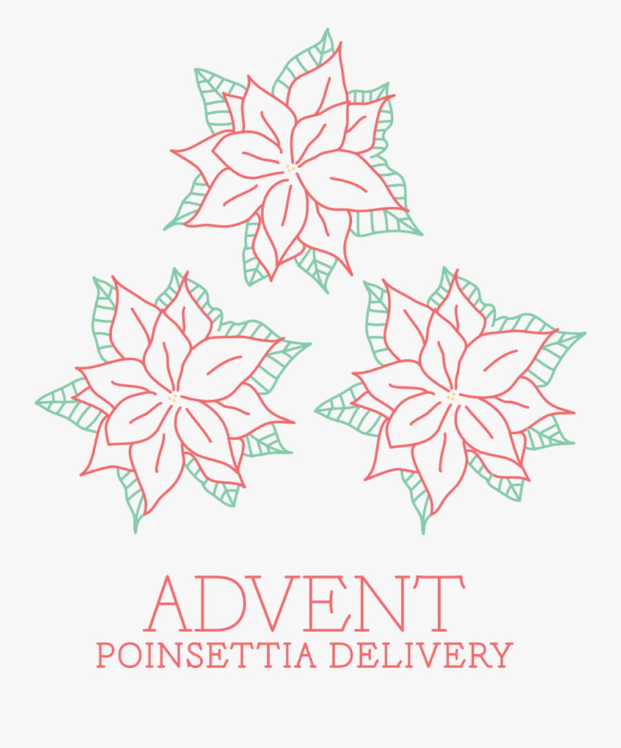 Poinsettia Epistle - Illustration, Transparent Clipart