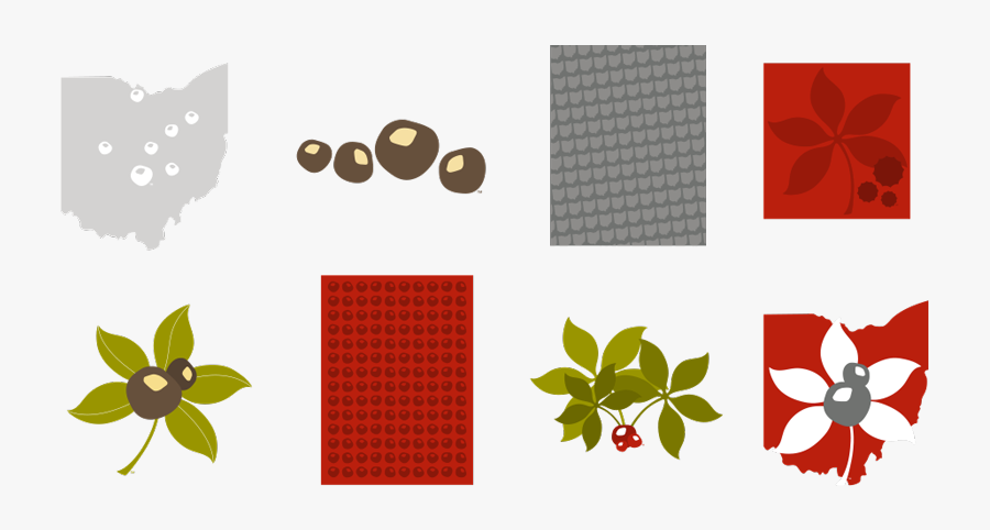 Ohio State Buckeye Graphic, Transparent Clipart
