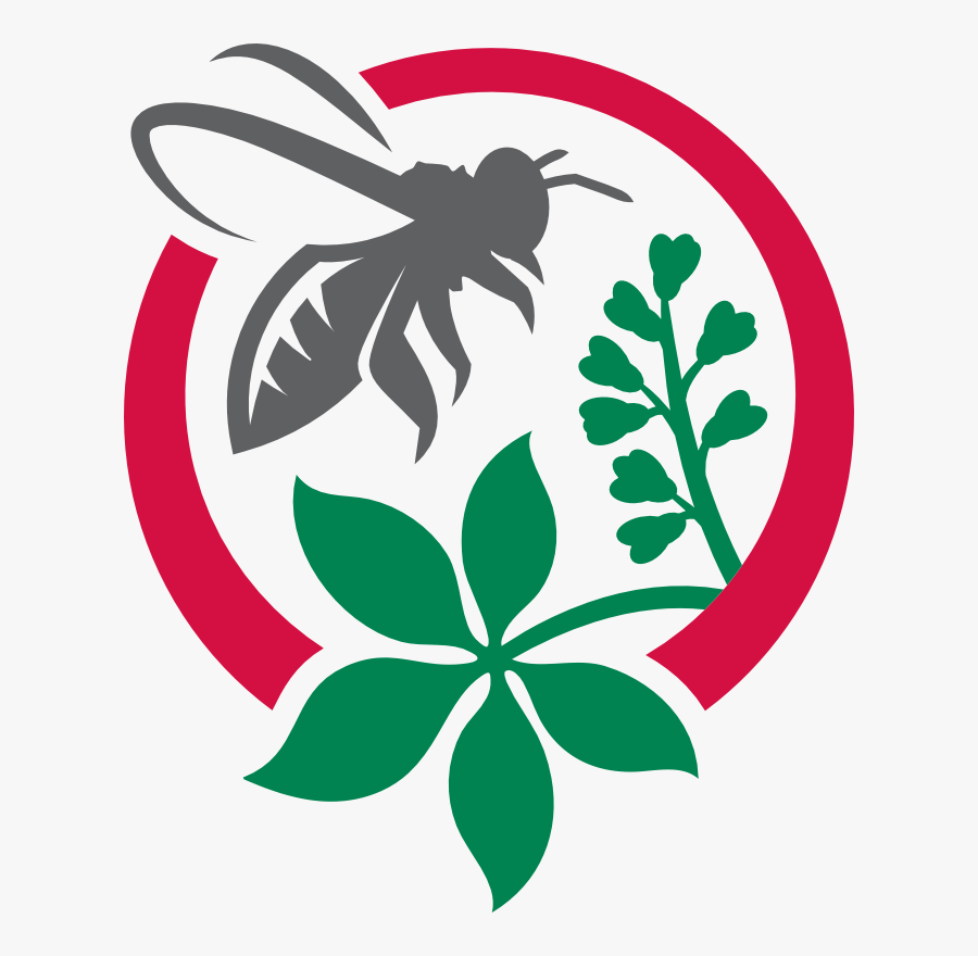 Flower And Bee Silhouette, Transparent Clipart