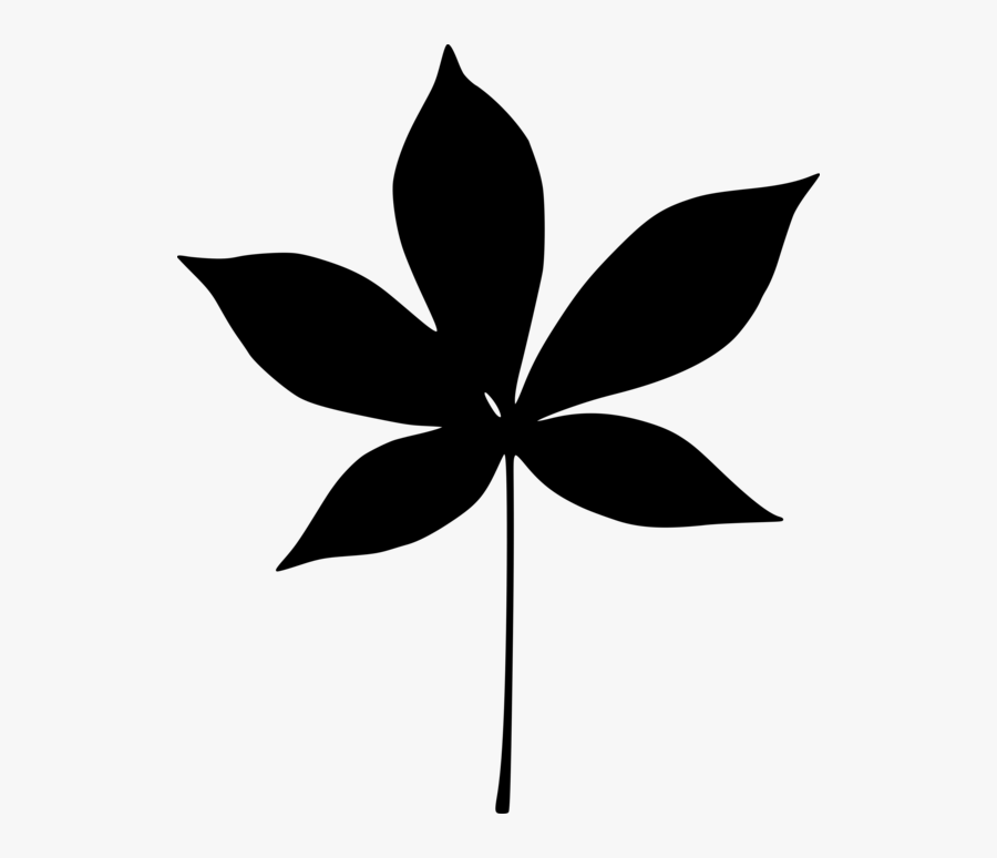 Leaf Identification Ontario, Transparent Clipart