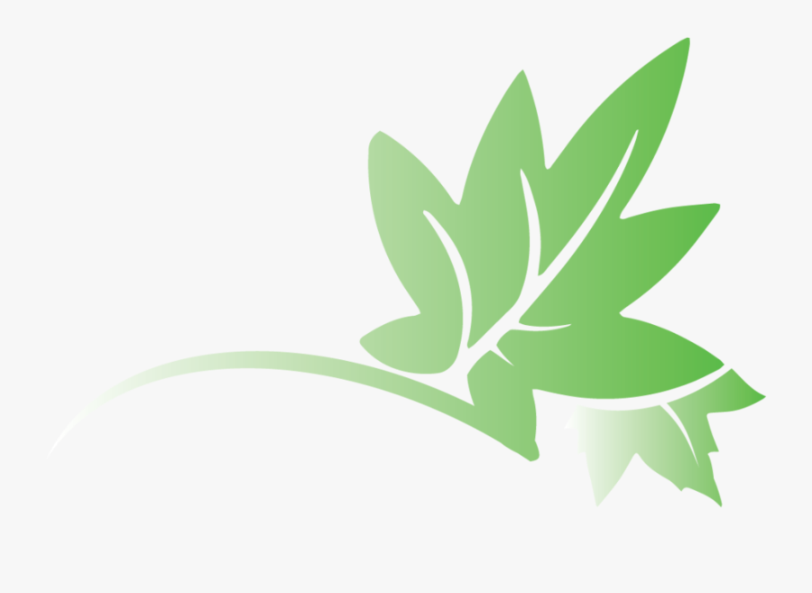 Leaf Logo 2@300x, Transparent Clipart