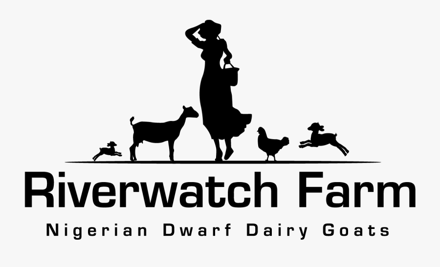 Silhouette, Transparent Clipart