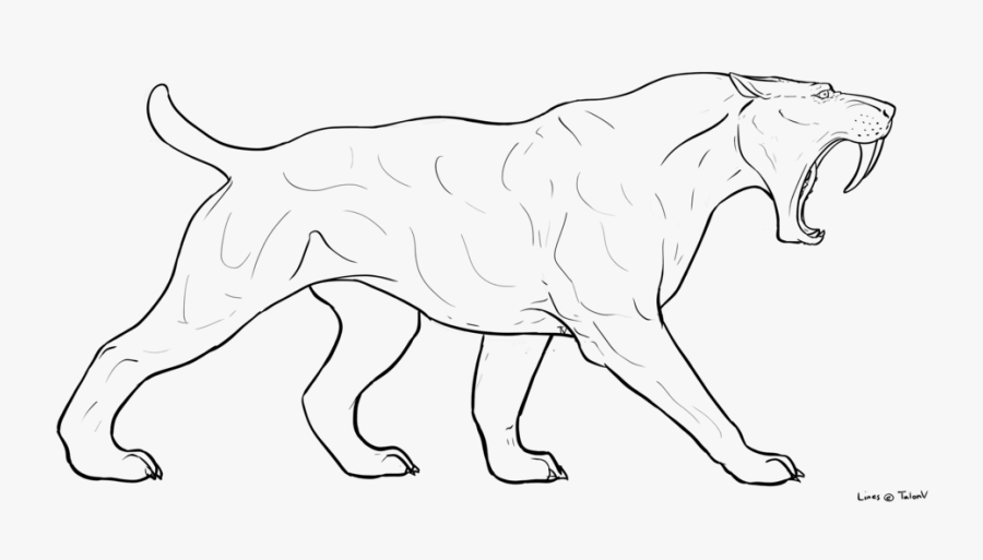 Draw A Saber Tooth Tiger, Transparent Clipart