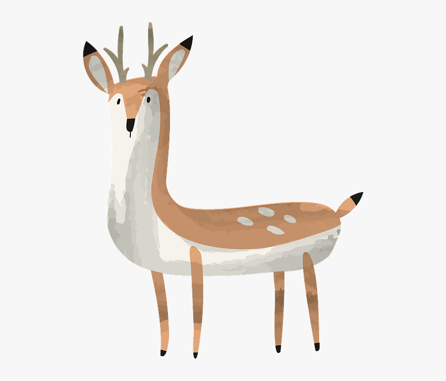 Deer, Transparent Clipart