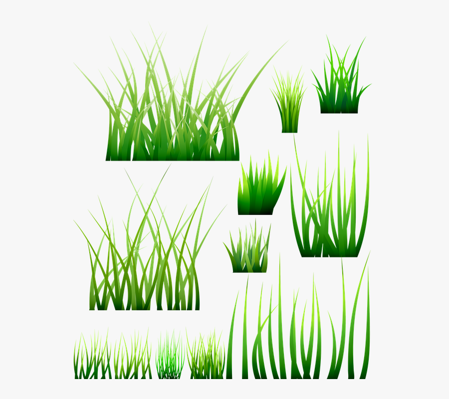 Painted Blades Of Grass, Transparent Clipart