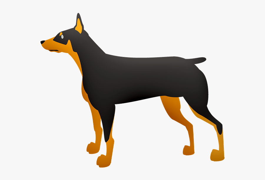 ドーベルマン フリー, Transparent Clipart