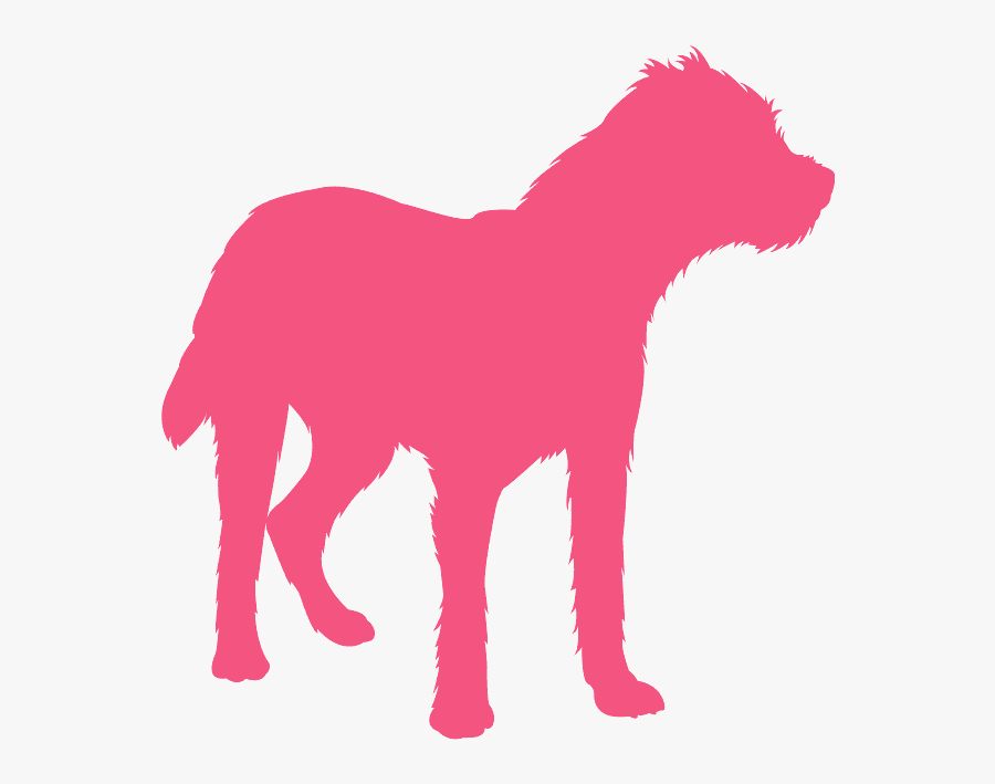Dog, Transparent Clipart