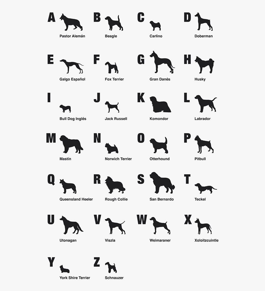 Stallion, Transparent Clipart