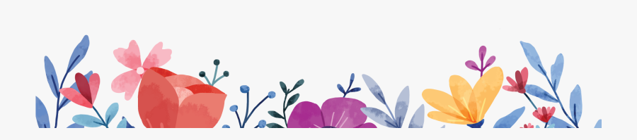 Orchid, Transparent Clipart