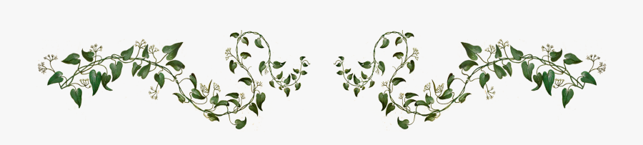 Forest Border Clip Art, Transparent Clipart