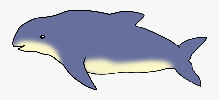 Burmeister"s Porpoise Public Domain Stock Image - Wholphin, Transparent Clipart