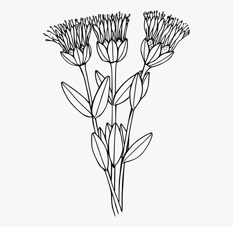 Mountain Dulcimer Clipart Icon Png - Clip Art, Transparent Clipart