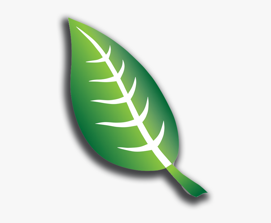 Afmte Leaf - Leaf Logo Free Transparent, Transparent Clipart