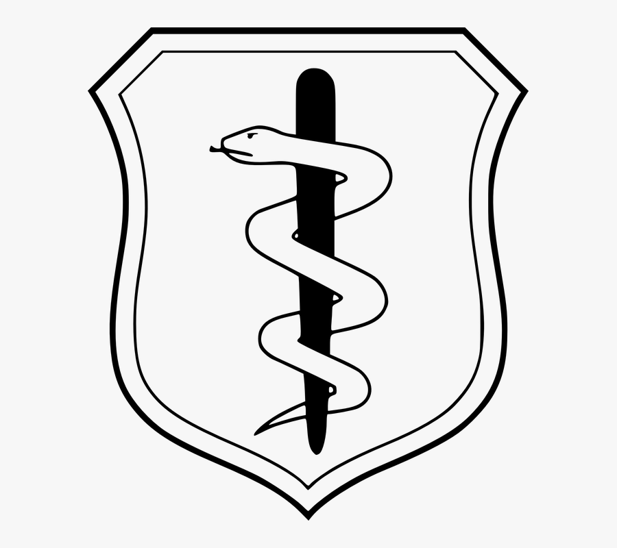 Transparent Nursing Symbol Clipart - Air Force Biomedical Science Corps Badge, Transparent Clipart