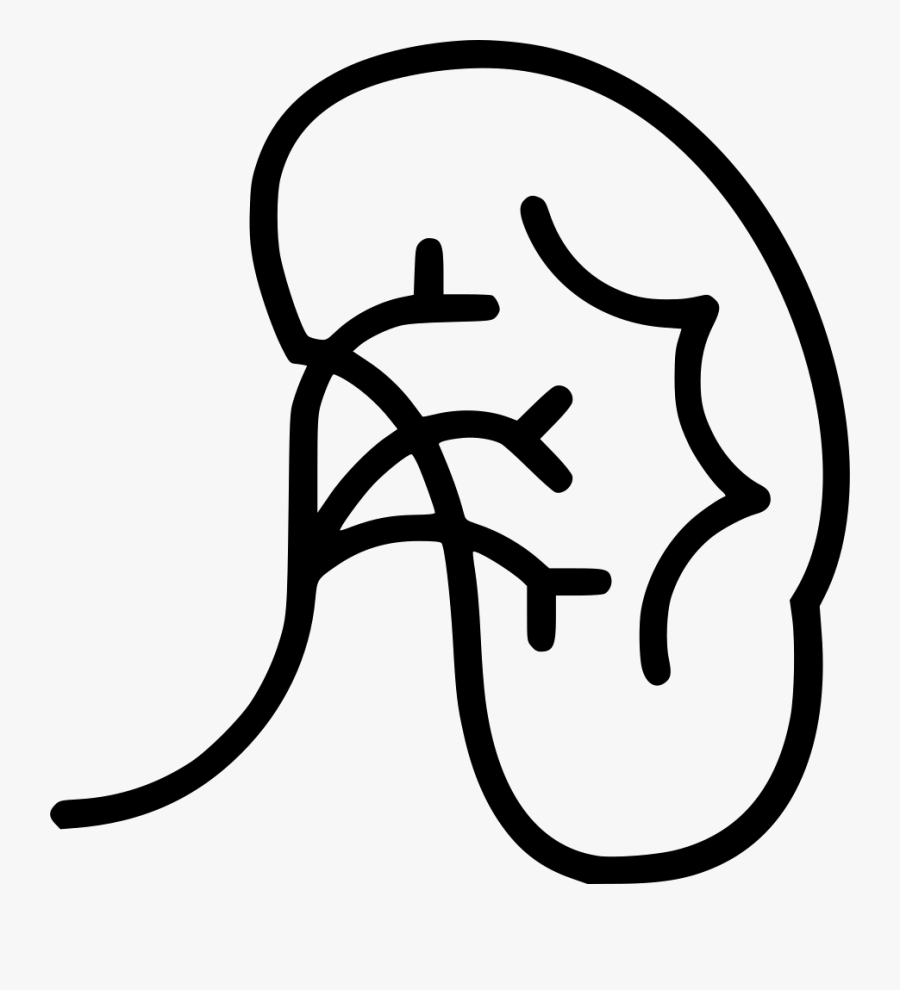 Kidney Comments Clipart , Png Download - Health, Transparent Clipart