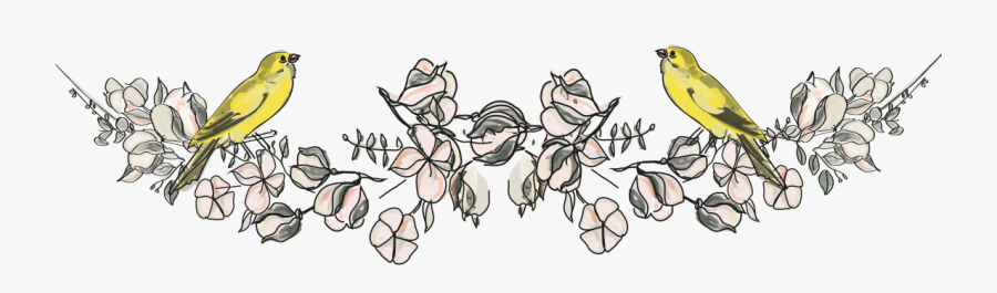 Illustration, Transparent Clipart