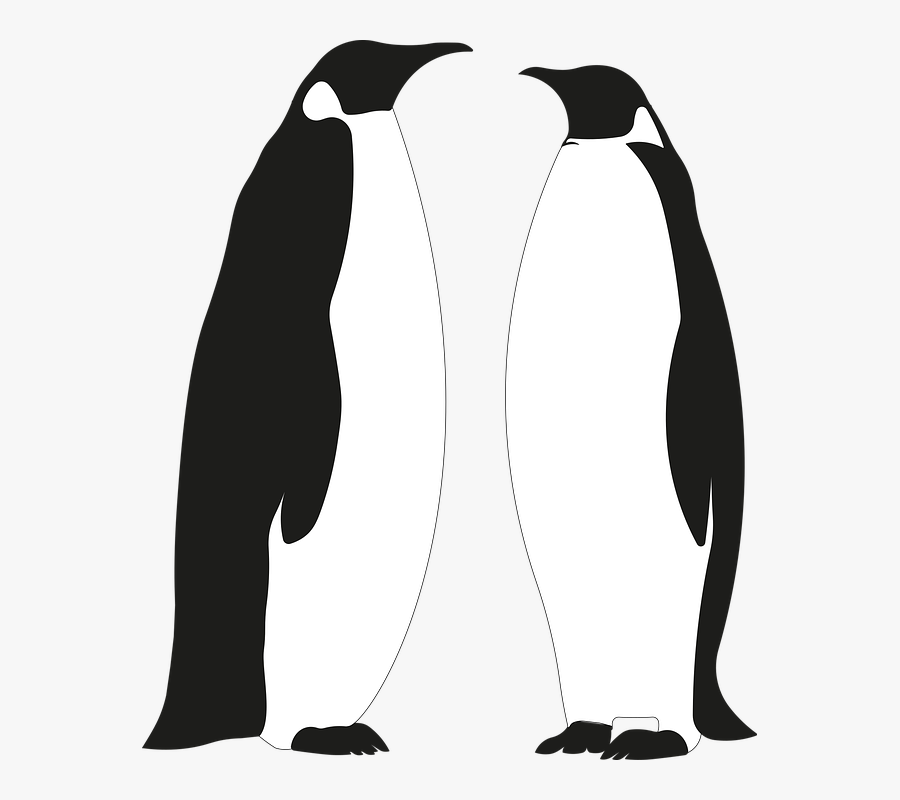 Adã©lie Penguin, Transparent Clipart