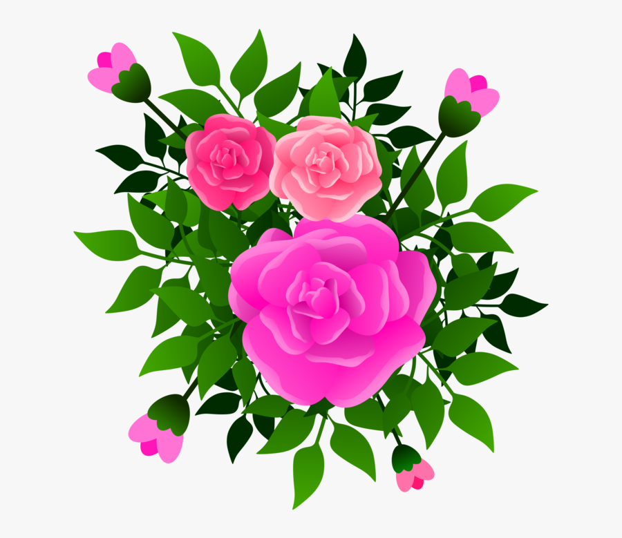 Pink,flower,prickly Rose - Hybrid Tea Rose, Transparent Clipart