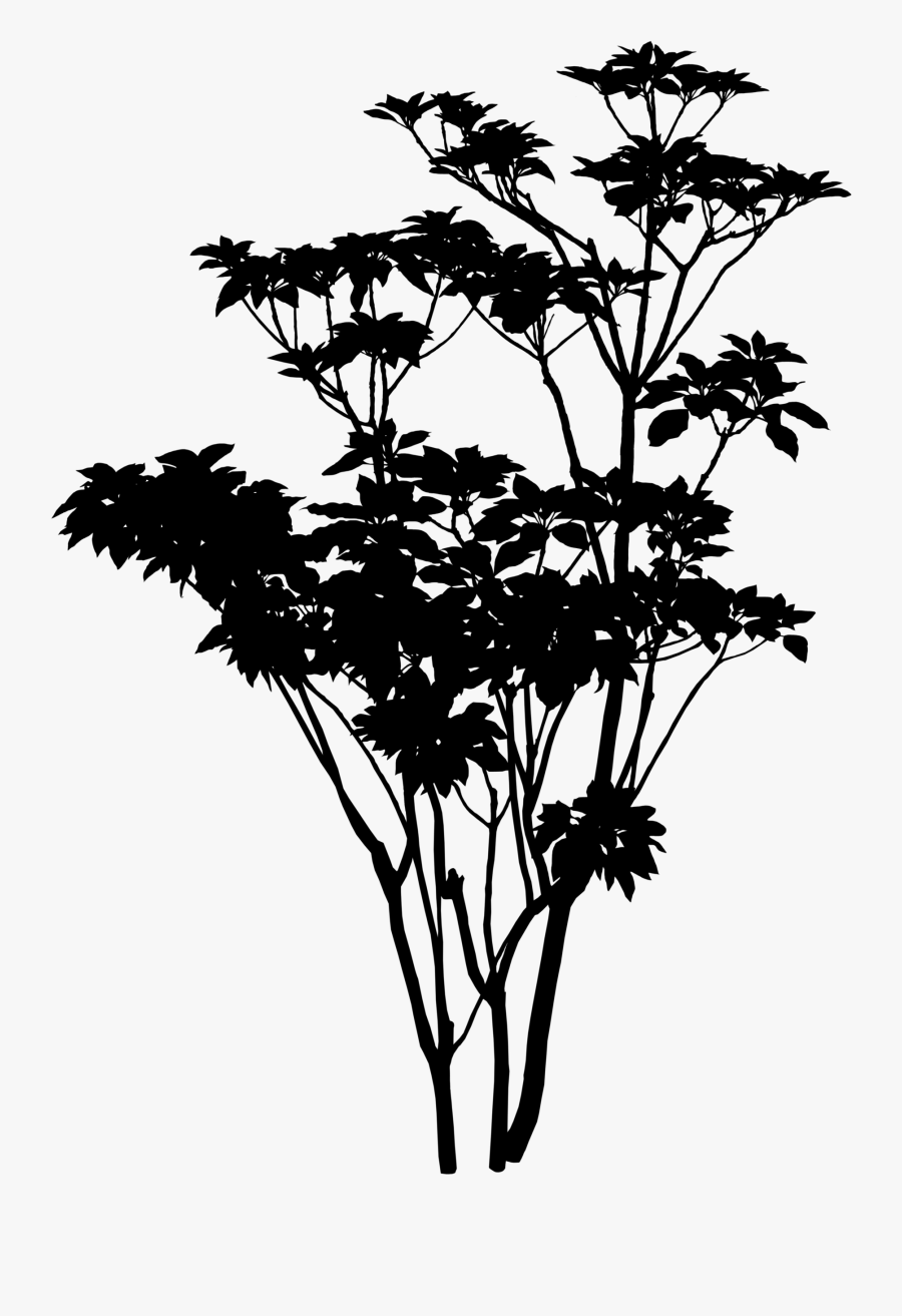 Silhouette Twig Light Photography Clip Art - Silhouette, Transparent Clipart