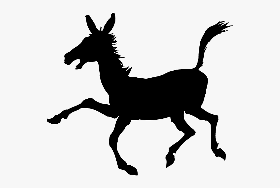 Download Logo Bassevelde Clipart Bassevelde Mule Donkey - Jackass Stickers, Transparent Clipart