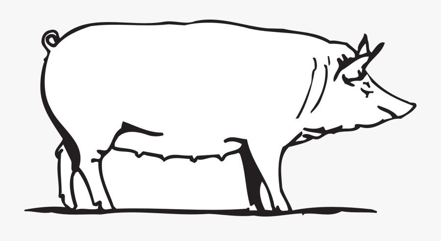 Pig Png Clipart Drawing, Transparent Clipart