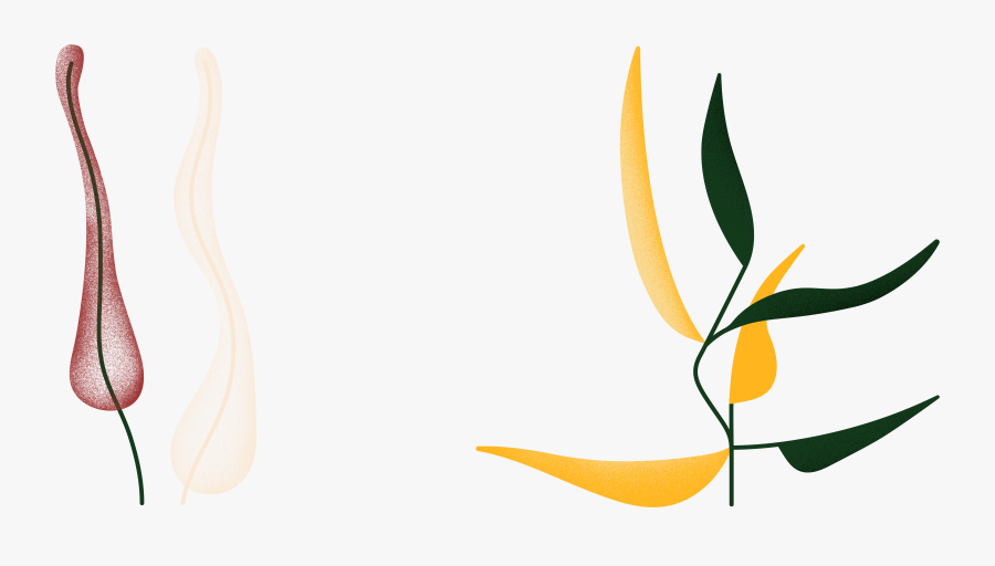 Greenpeace Storytelling - Illustration, Transparent Clipart