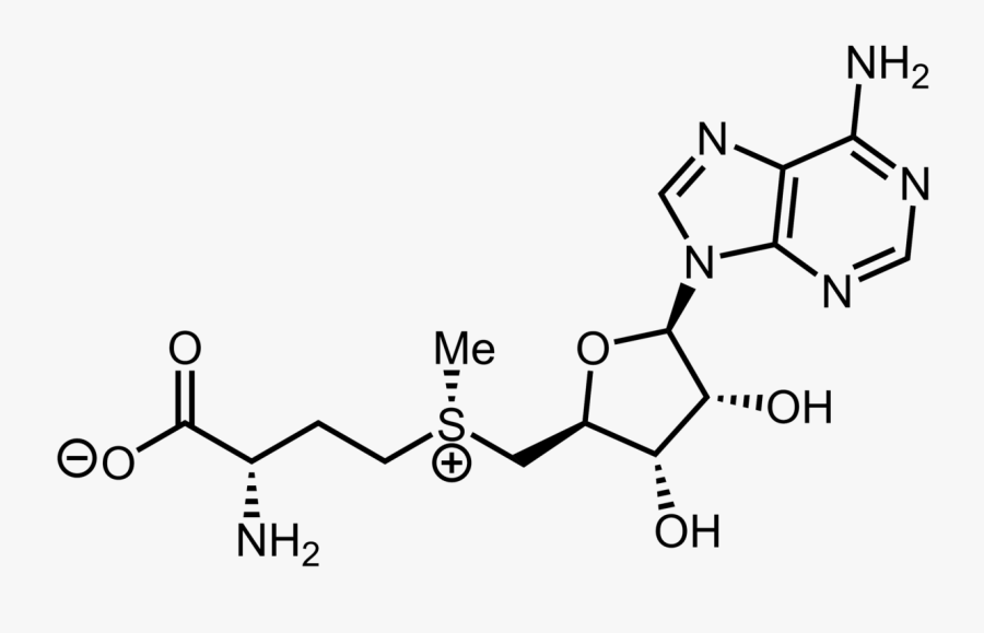 Structure, Transparent Clipart